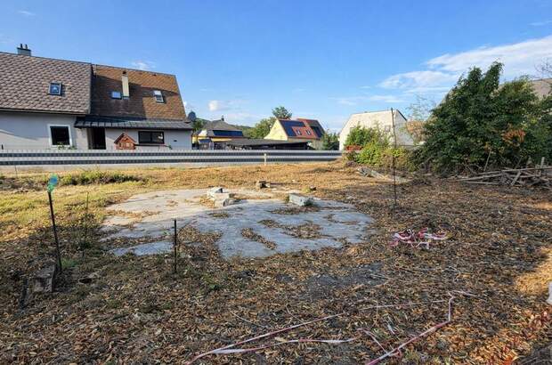 Grundstück kaufen in 2752 Wöllersdorf (Bild 3)