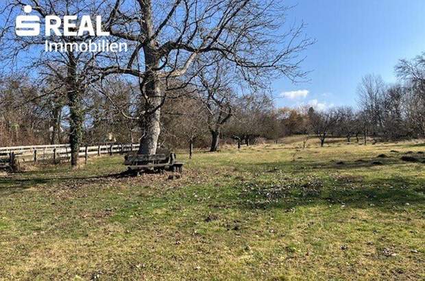 Haus kaufen in 7431 Bad Tatzmannsdorf (Bild 3)