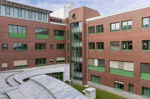 Gewerbeobjekt mieten in 1220 Wien (Bild 5)