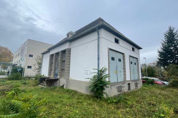 Gewerbeobjekt kaufen in 2700 Wiener Neustadt (Bild 5)