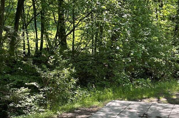 Mehrfamilienhaus kaufen in 3001 Mauerbach (Bild 2)