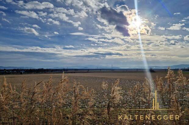 Grundstück kaufen in 2722 Weikersdorf (Bild 3)