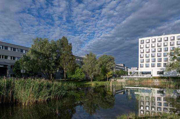 Gewerbeobjekt mieten in 2345 Brunn (Bild 3)