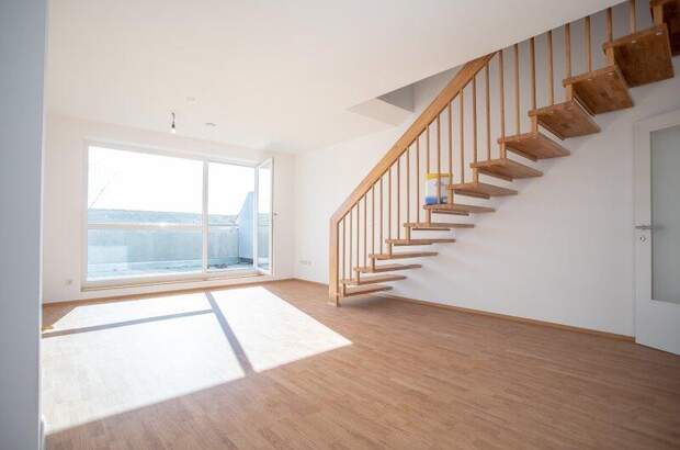 Terrassenwohnung mieten in 3382 Loosdorf (Bild 1)