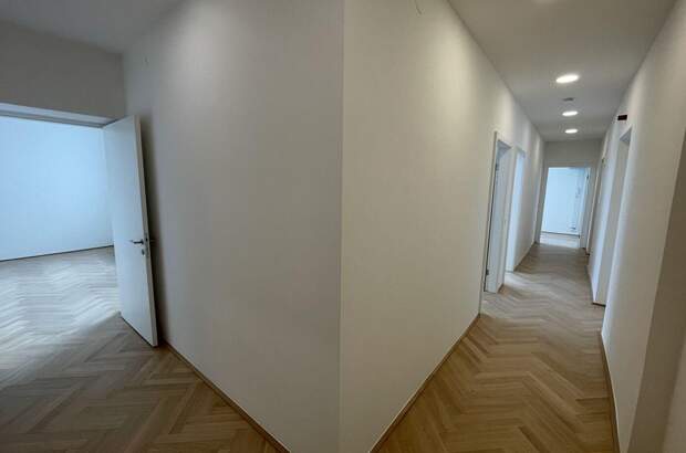 Gewerbeobjekt mieten in 1010 Wien (Bild 5)