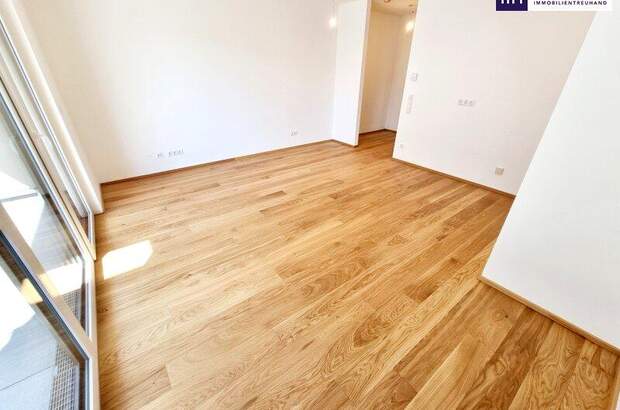 Terrassenwohnung mieten in 1230 Wien (Bild 5)