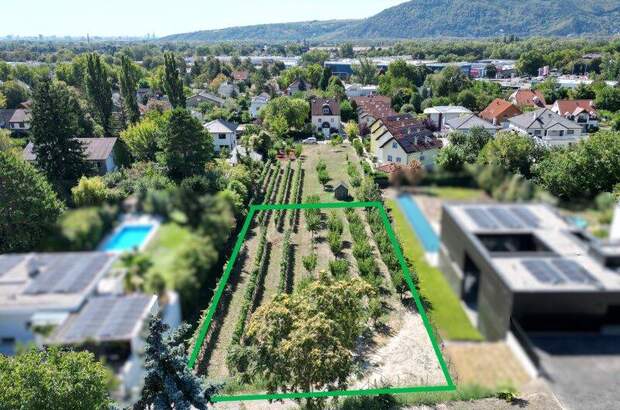 Grundstück kaufen in 2103 Langenzersdorf (Bild 4)