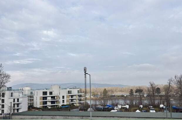Terrassenwohnung mieten in 1190 Wien (Bild 4)