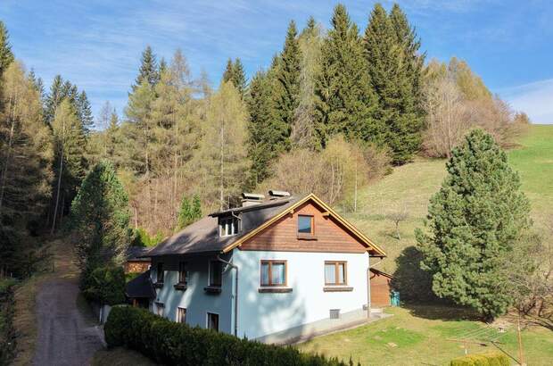 Haus kaufen in 8742 Winterleiten (Bild 1)