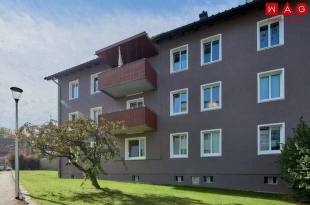 Wohnung mieten in 4910 Ried (Bild 3)