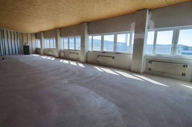 Büro / Praxis mieten in 2620 Neunkirchen (Bild 2)