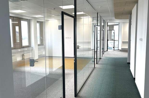 Gewerbeobjekt mieten in 1210 Wien (Bild 2)