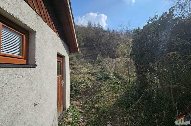 Grundstück kaufen in 3424 Wolfpassing (Bild 4)