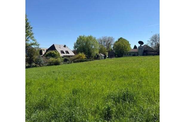 Mehrfamilienhaus kaufen in 4501 Neuhofen (Bild 2)