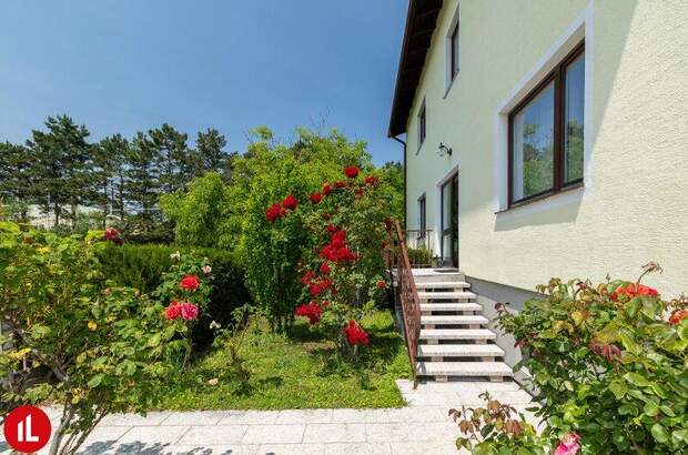 Mehrfamilienhaus kaufen in 2351 Wr. Neudorf (Bild 2)