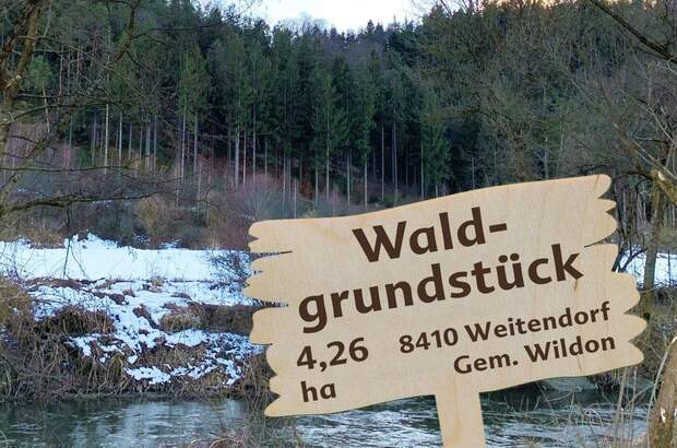 Grundstück kaufen in 8410 Weitendorf (Bild 1)