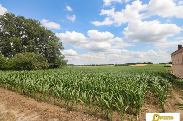 Grundstück kaufen in 2111 Tresdorf (Bild 1)