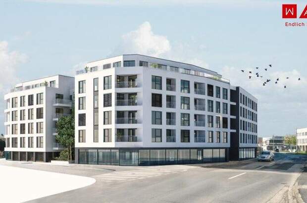 Terrassenwohnung mieten in 8020 Graz (Bild 3)