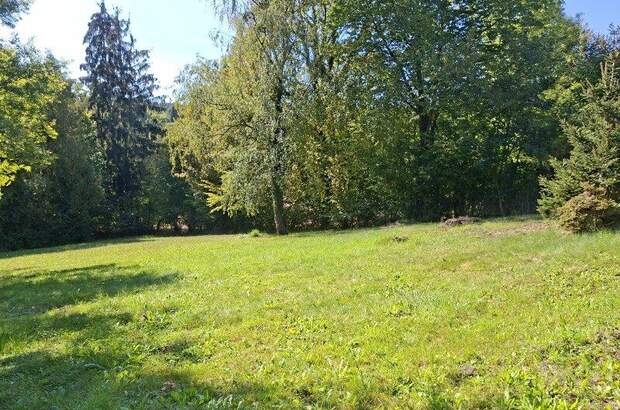 Grundstück kaufen in 8062 Kumberg (Bild 4)