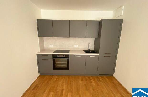 Terrassenwohnung mieten in 1110 Wien (Bild 2)