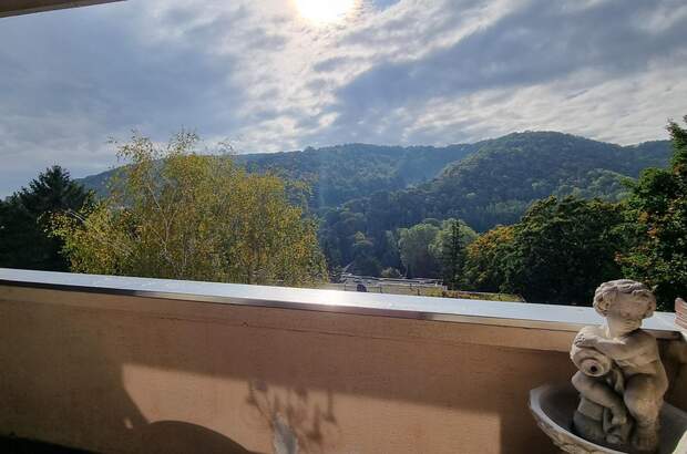 Terrassenwohnung kaufen in 3400 Klosterneuburg (Bild 1)