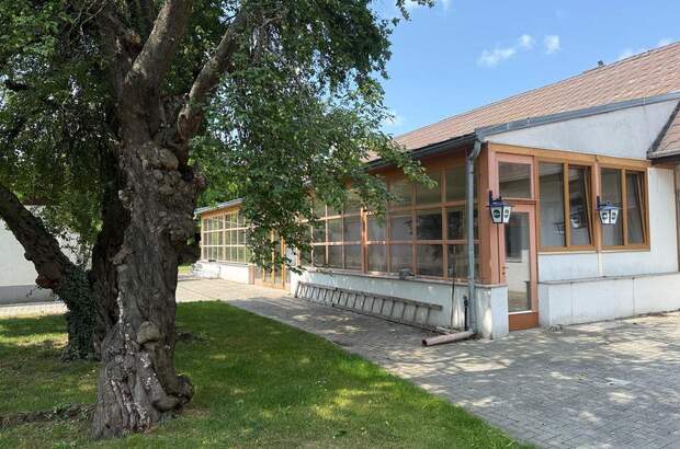 Gewerbeobjekt kaufen in 2424 Zurndorf (Bild 3)