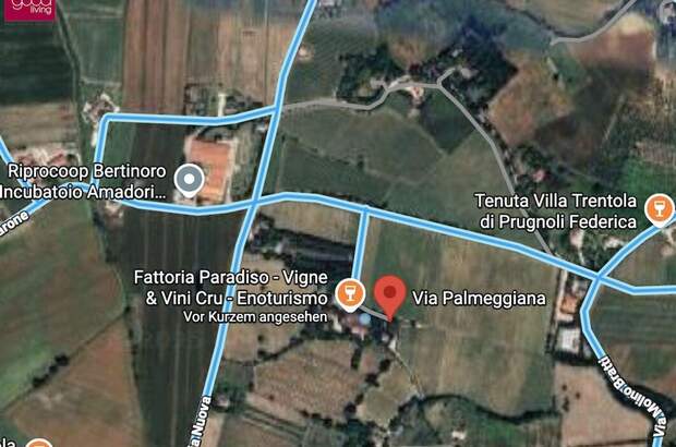 Gewerbeobjekt kaufen in 47032 Bertinoro (Bild 3)