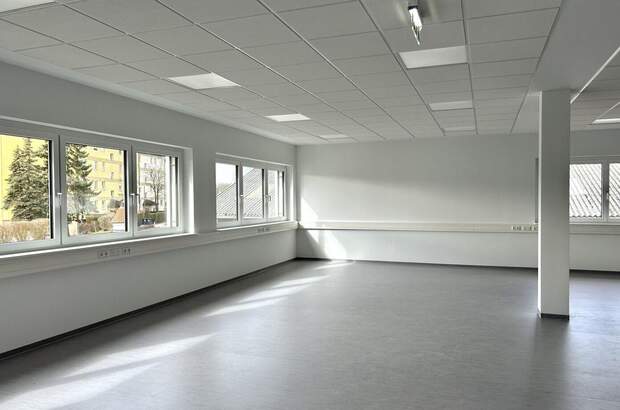 Gewerbeobjekt mieten in 4061 Pasching (Bild 3)