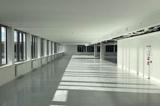 Gewerbeobjekt mieten in 1230 Wien (Bild 3)