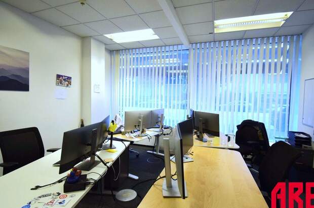 Gewerbeobjekt mieten in 4020 Linz (Bild 2)