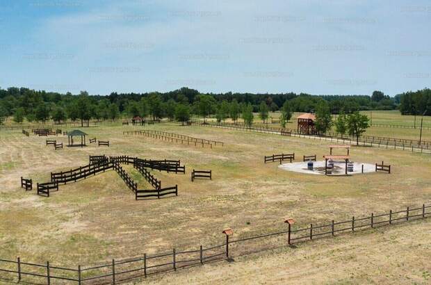 Haus kaufen in 6114 Bugac (Bild 3)