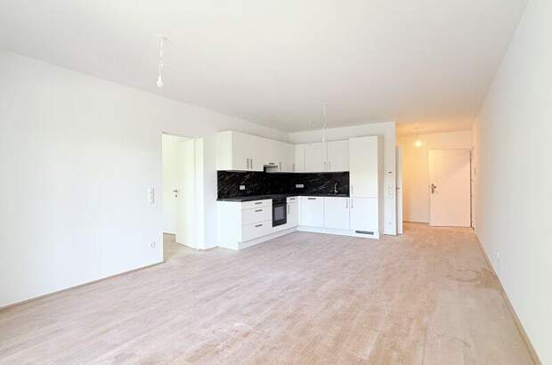 Terrassenwohnung kaufen in 1100 Wien (Bild 3)