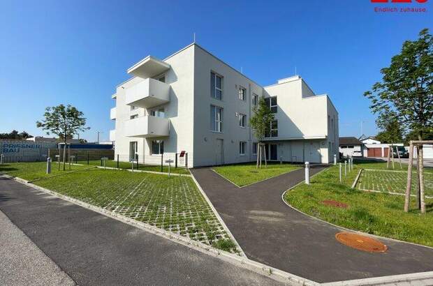 Wohnung mieten in 4060 Leonding