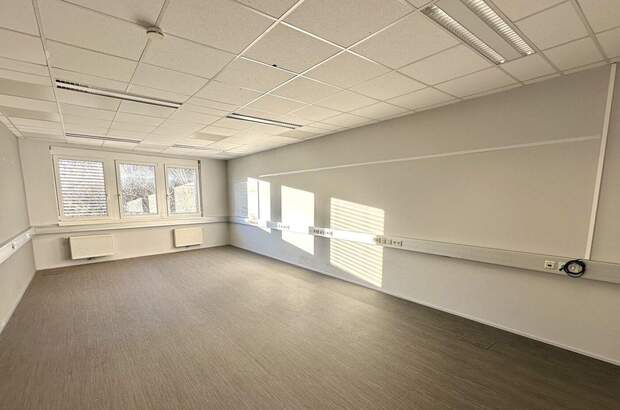 Gewerbeobjekt mieten in 8054 Graz (Bild 4)