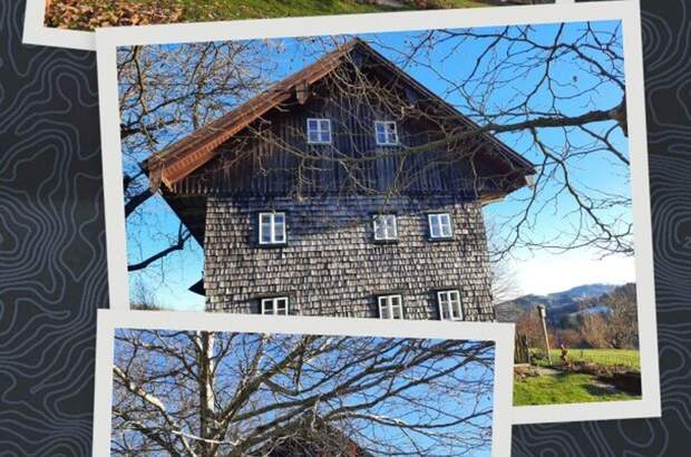 Haus kaufen in 4682 Geboltskirchen (Bild 4)