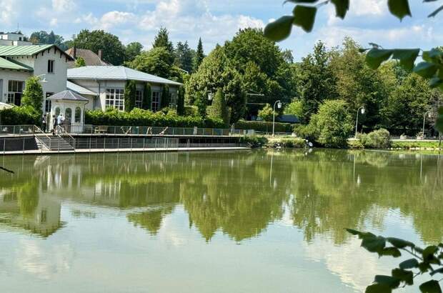 Wohnung kaufen in 8043 Graz (Bild 4)