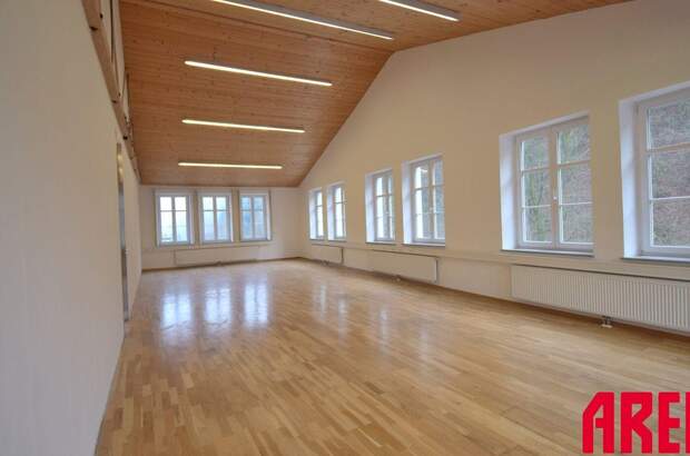 Gewerbeobjekt mieten in 4040 Linz (Bild 3)