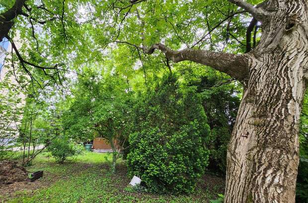 Grundstück kaufen in 8020 Graz (Bild 1)