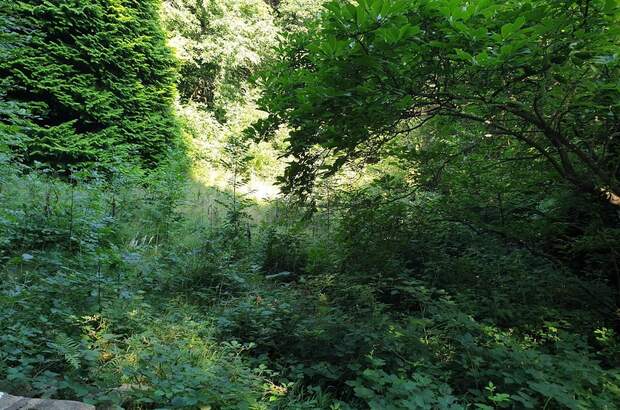 Grundstück kaufen in 1170 Wien (Bild 3)