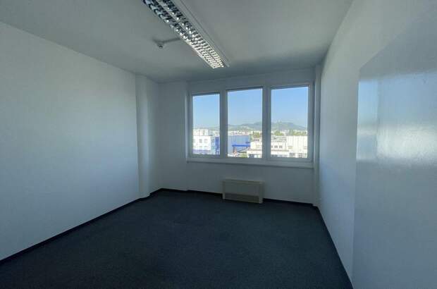 Gewerbeobjekt mieten in 1210 Wien (Bild 4)