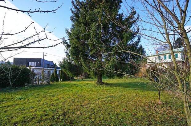 Haus kaufen in 3003 Gablitz (Bild 5)