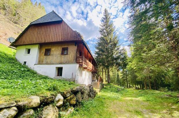 Haus kaufen in 8764 Pusterwald (Bild 1)