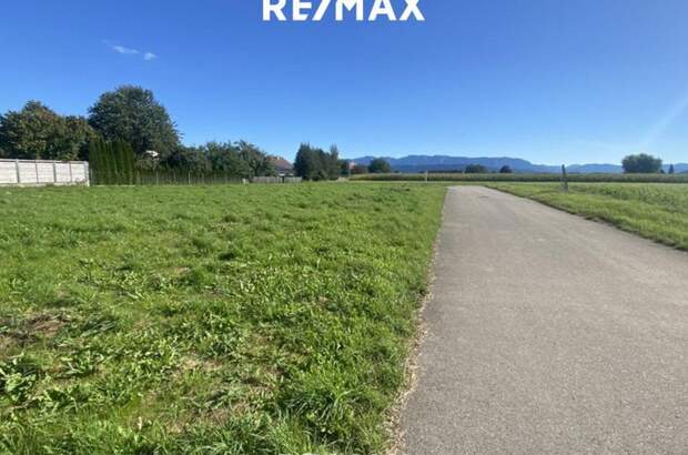 Haus kaufen in 4851 Gampern (Bild 4)