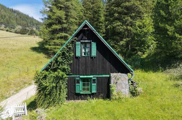 Haus mieten in 8794 Vordernberg (Bild 1)