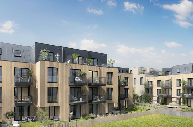 Wohnung mit Balkon mieten in 2130 Mistelbach (Bild 5)