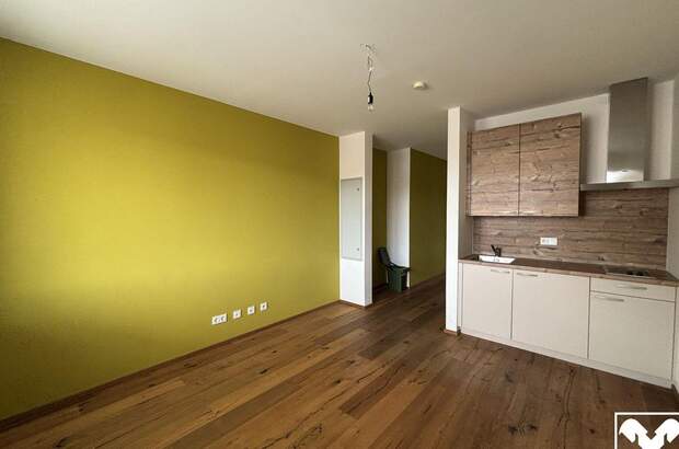 Wohnung mieten in 4320 Perg (Bild 1)