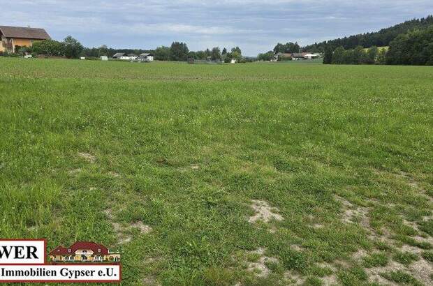 Grundstück kaufen in 5231 Schalchen (Bild 2)