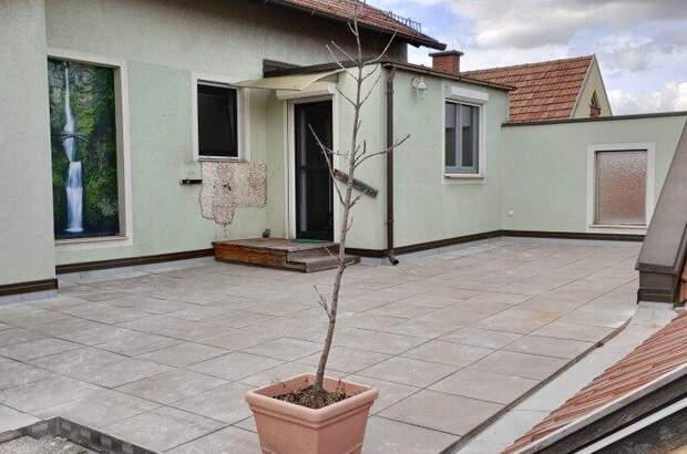 Terrassenwohnung kaufen in 2620 Peisching (Bild 1)