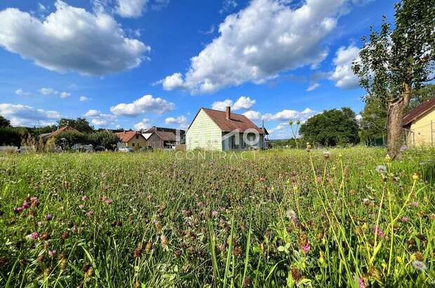 Grundstück kaufen in 3550 Langenlois