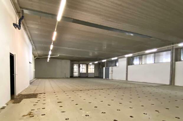 Gewerbeobjekt mieten in 1220 Wien (Bild 5)